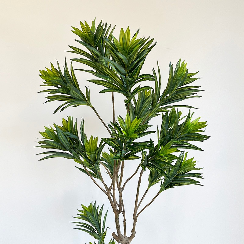 ドラセナ・ソングオブインディア | フェイクグリーン（造花・リース