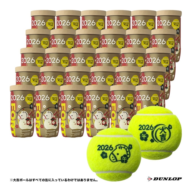 ダンロップ DUNLOP テニスボール DUNLOP FORT（ダンロップ・フォート