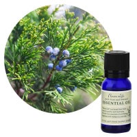 クイーンメリー】ジュニパーべリー｜エッセンシャルオイル（精油