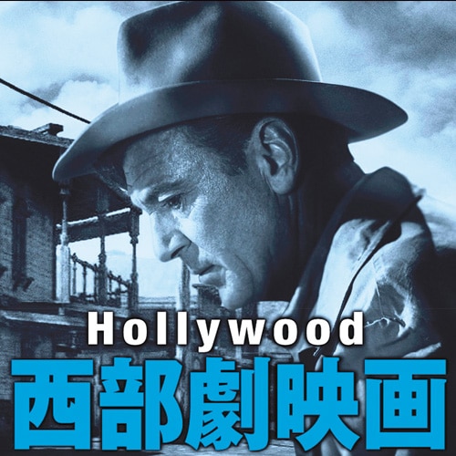 ハリウッド西部劇映画 傑作シリーズ 4 DVD-BOX 全8枚組【ポイント5