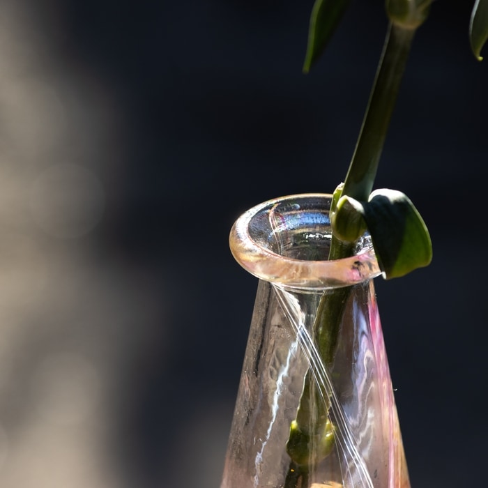 華やぎ フラワーベース | 北一硝子 まごころお届け便