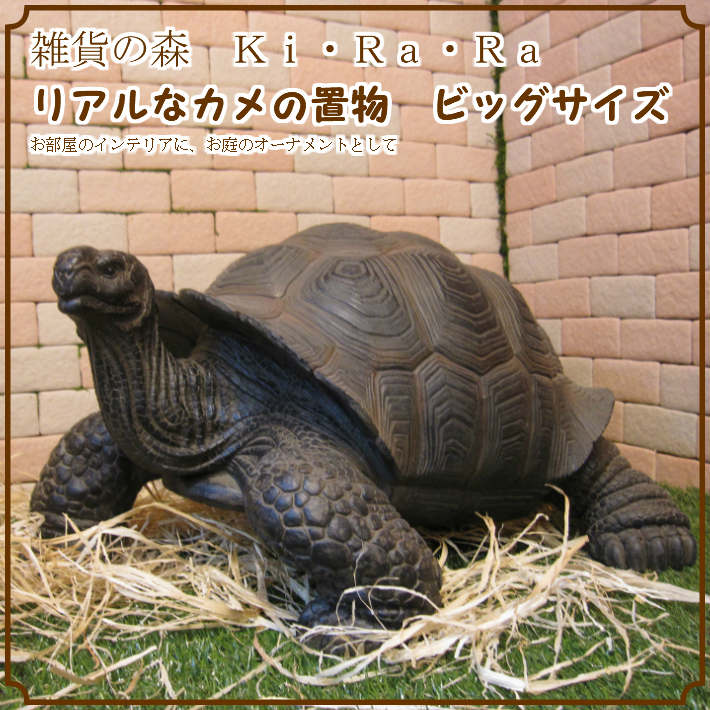 リアルなカメの置物 ビッグサイズ ゾウガメ かめオブジェ 亀の