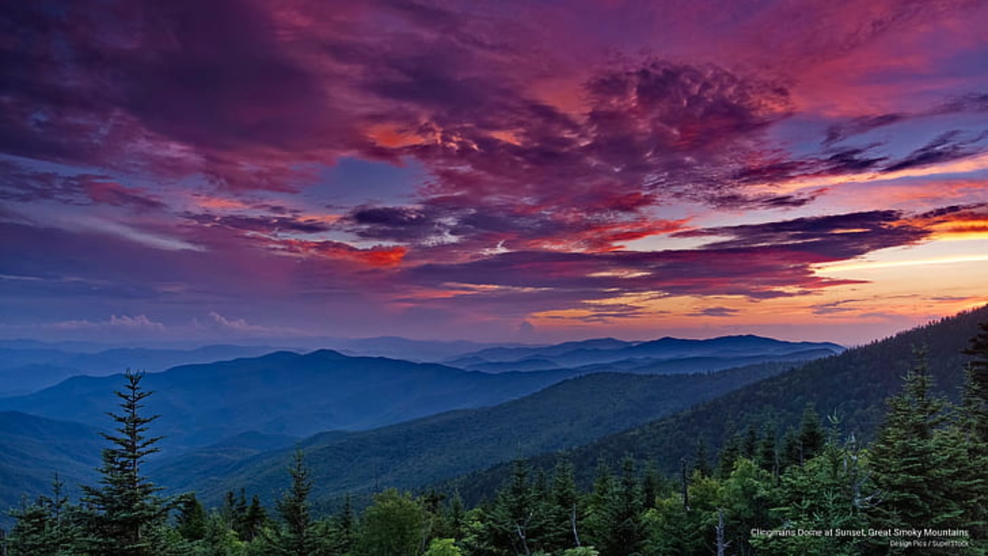 Your Ultimate Guide to Summer in the Great Smoky Mountains