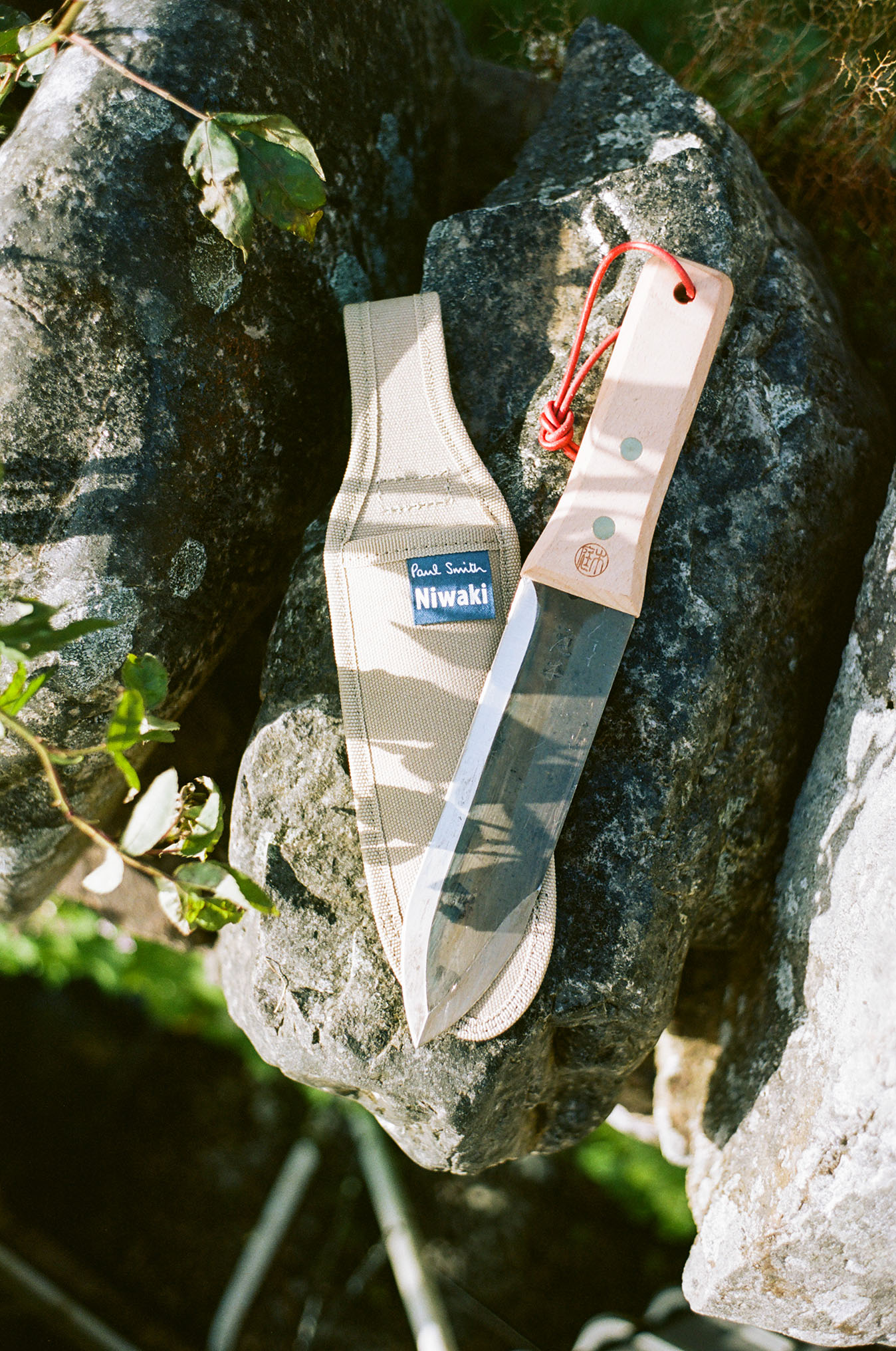 ポール・スミス」が「ニワキ」と異色コラボ 限定ガーデニング