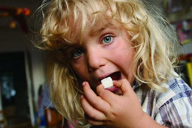 シュガー・ブルース 家族で砂糖をやめたわけ : 作品情報・キャスト