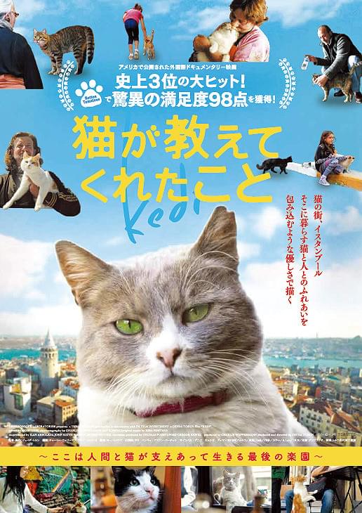 猫が教えてくれたこと : 作品情報・キャスト・あらすじ・動画 - 映画.com