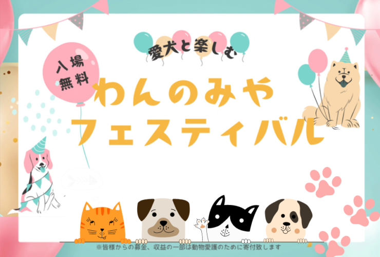 1月12日「わんのみやフェスティバル」本町 葵公園 - メディアいちのみ