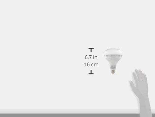 Amazon | 遠藤照明+LEDランプバラストレス水銀レフ形+色温度3000K