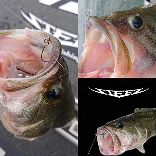 バス釣り ワーム入門ガイド｜付け方と動かし方などの使い方をご紹介