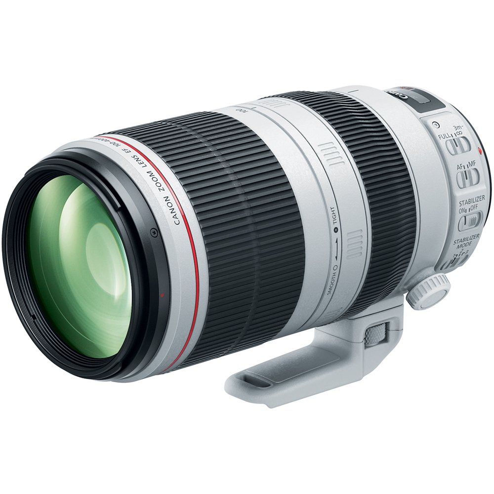 Amazon.com : Canon EF 100-400mm f/4.5-5.6L is II USM Lens