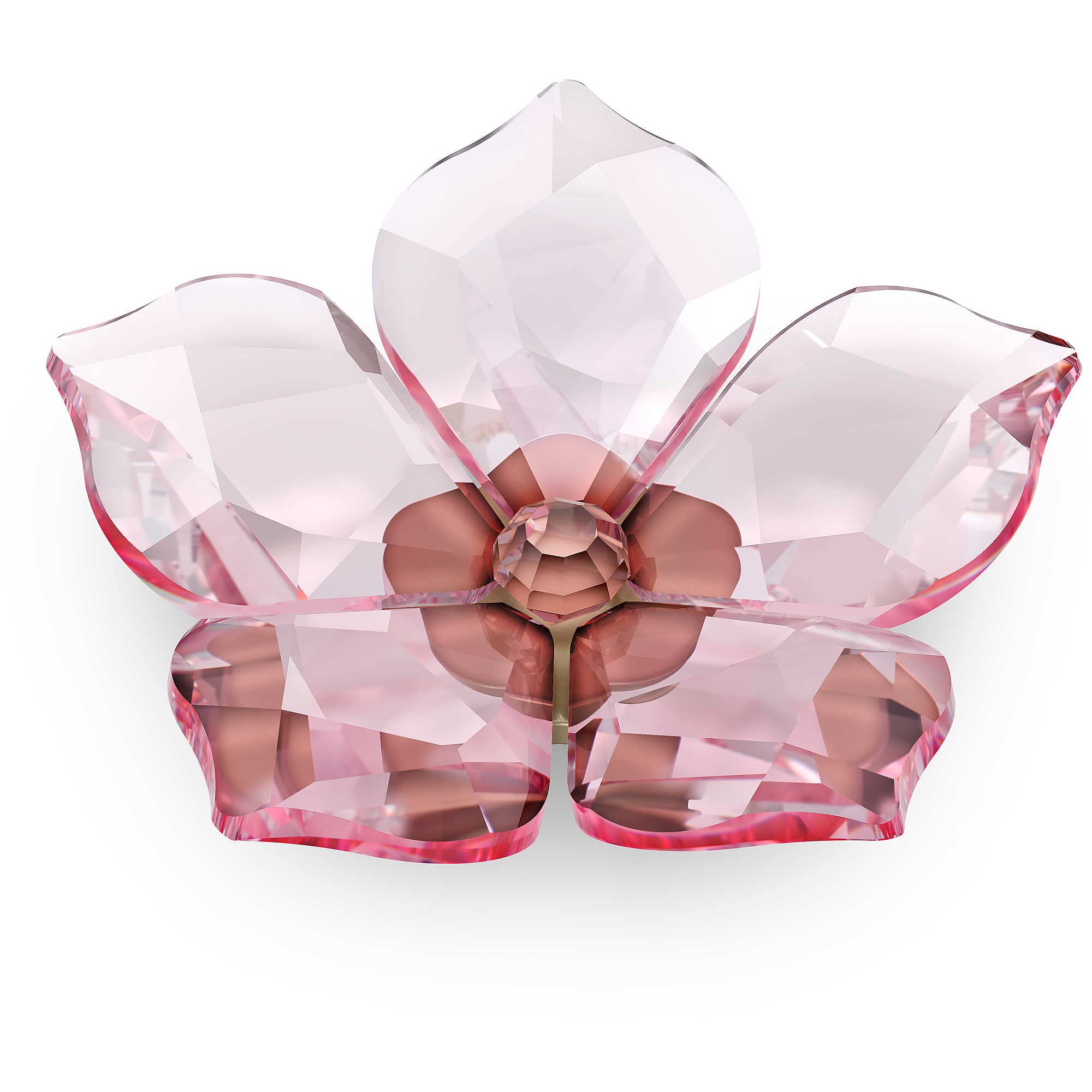 Amazon.co.jp: スワロフスキー ガーデン テイルズ 桜 マグネット