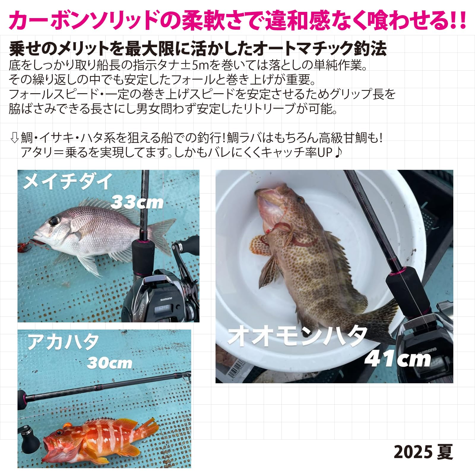 Amazon.co.jp: RIZAS(ライザス)TAIRUBBER タイラバ652MLリールセット