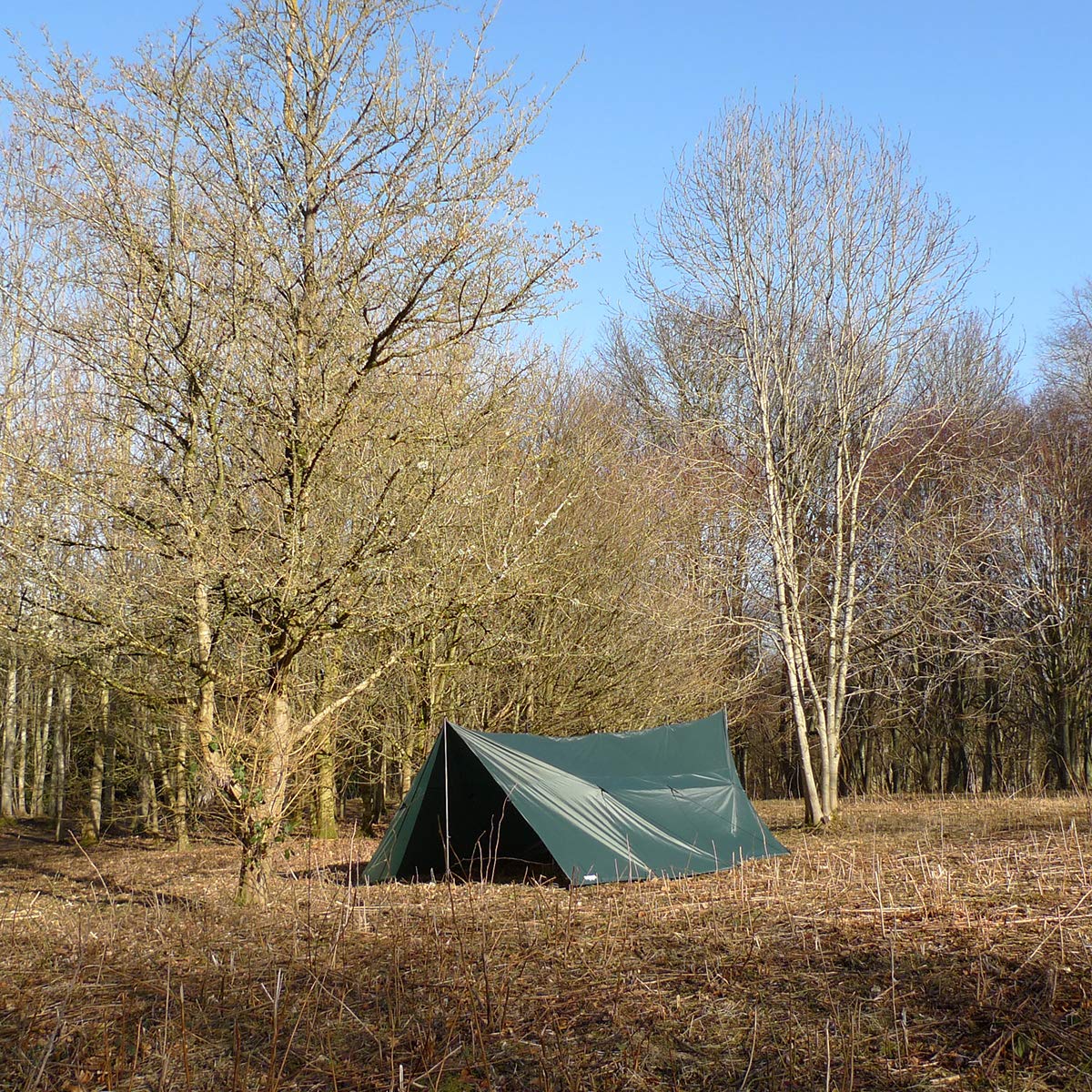 Amazon | DD Hammocks DD タープ 5×5 (オリーブグリーン）日本正規品