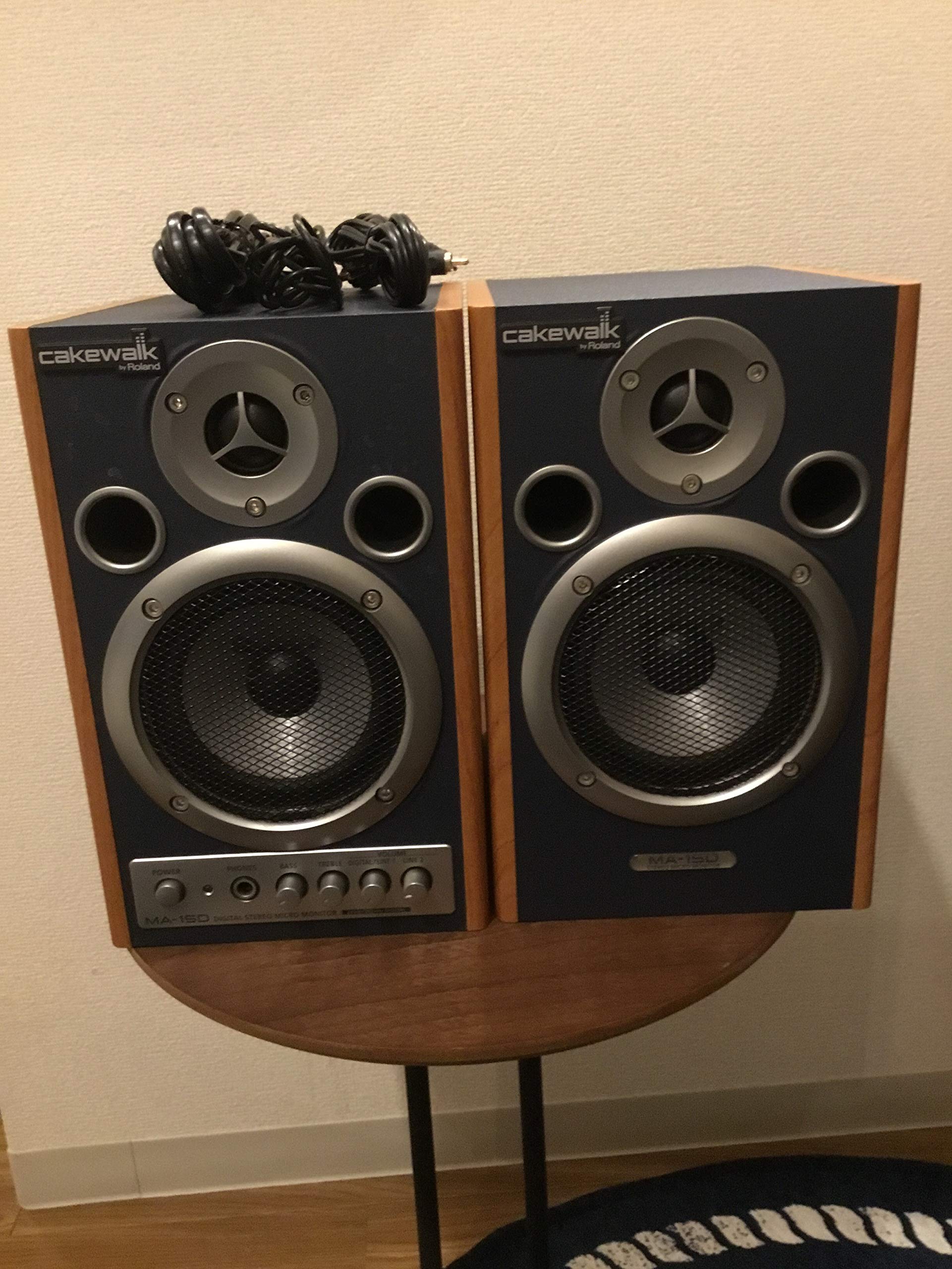 Amazon.co.jp: Roland MA-15D Digital Stereo Micro Monitor : 家電