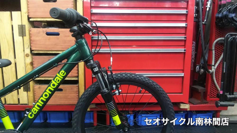 2021 cannondale KIds trail 20 入荷しました。 | セオサイクル南林間店