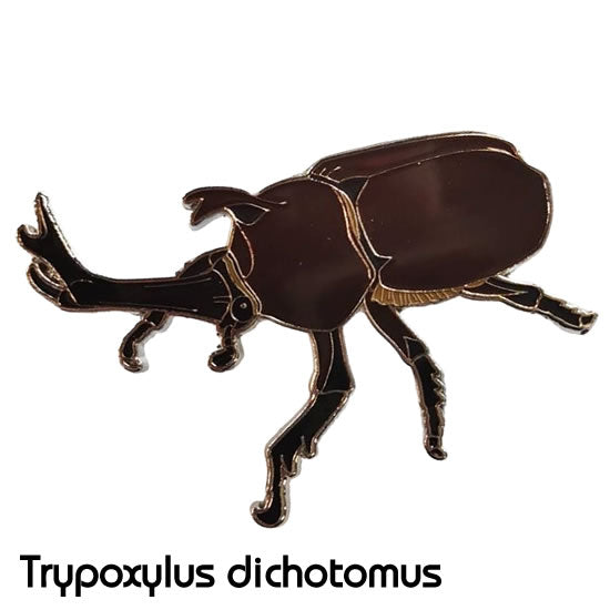 ヤマトカブト｜リアルな昆虫ピンズ｜ネットショップ・マインドダイレクト