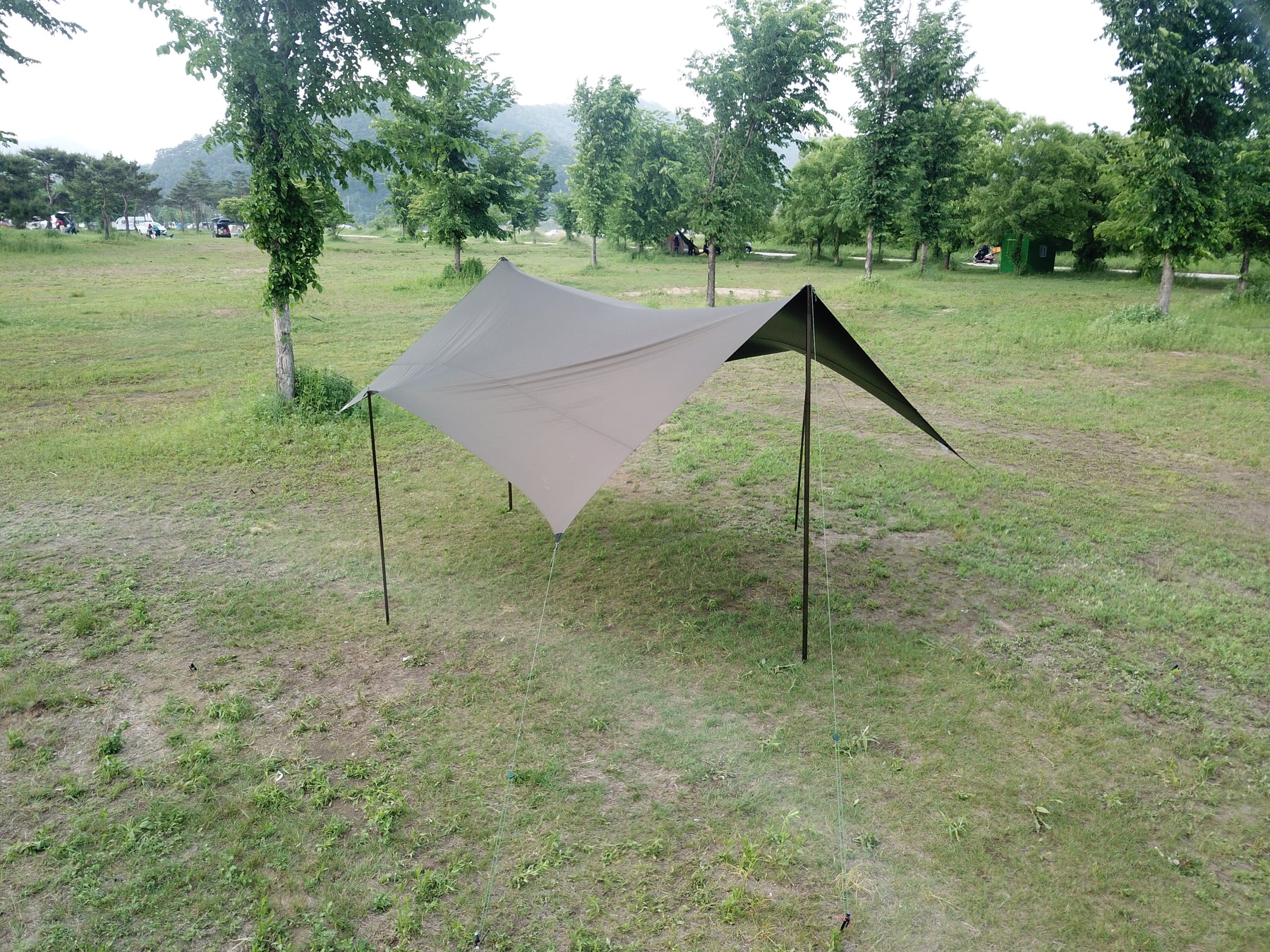 MANGO SHADE MAJESTY TARP EX/TANマンゴーシェード マジェスティタープ