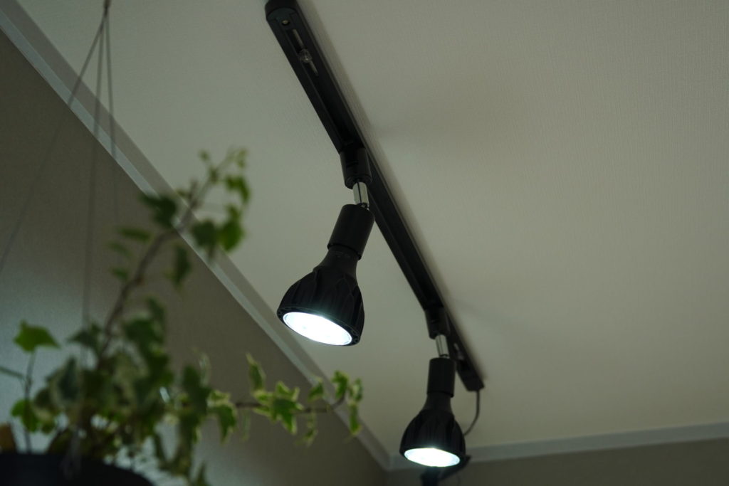 植物LEDレビュー】HaruDesign GL-A 6Kをビカクシダ用に購入しました