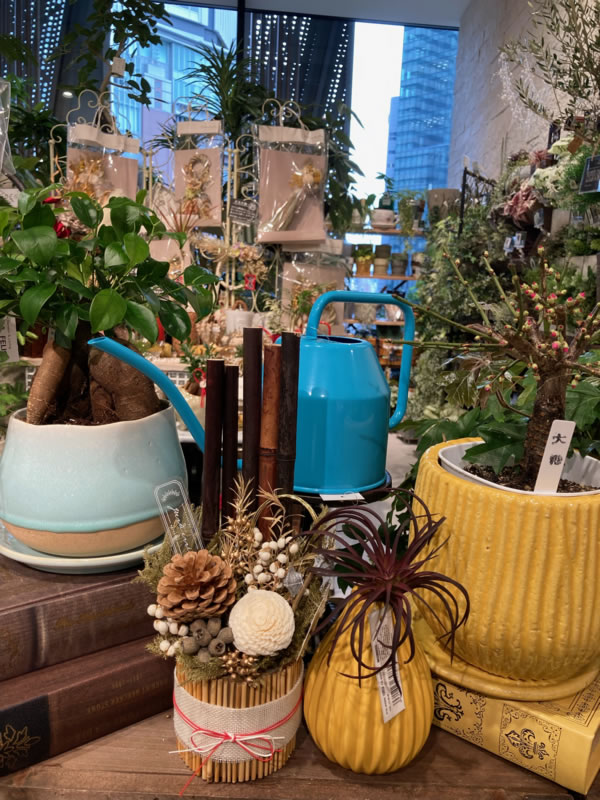 カラフルな鉢〈梅田デコ〉 | みどりの雑貨屋