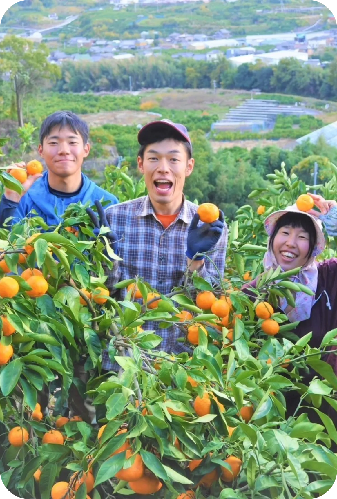 採用情報 | みかんのみっちゃん農園【オフィシャルサイト】