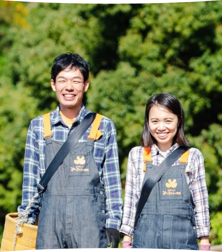 農園紹介 | みかんのみっちゃん農園【オフィシャルサイト】
