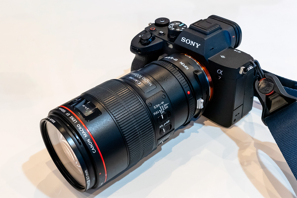 EF100/F2.8L MACRO を α7 IV で試す | b's mono-log