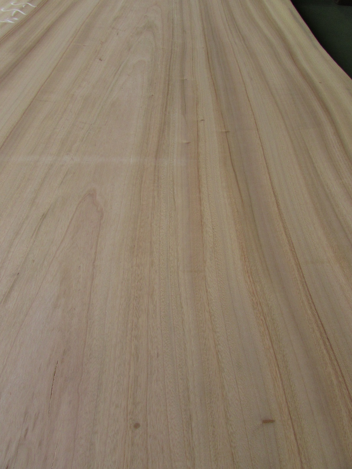 4.3m～7.7m 無垢一枚板 長尺カウンターテーブル材 | 一枚板商品情報