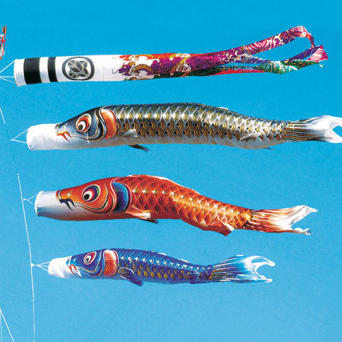 鯉のぼり【熊本店】 / 青海波鯉(5M/4M/3M)