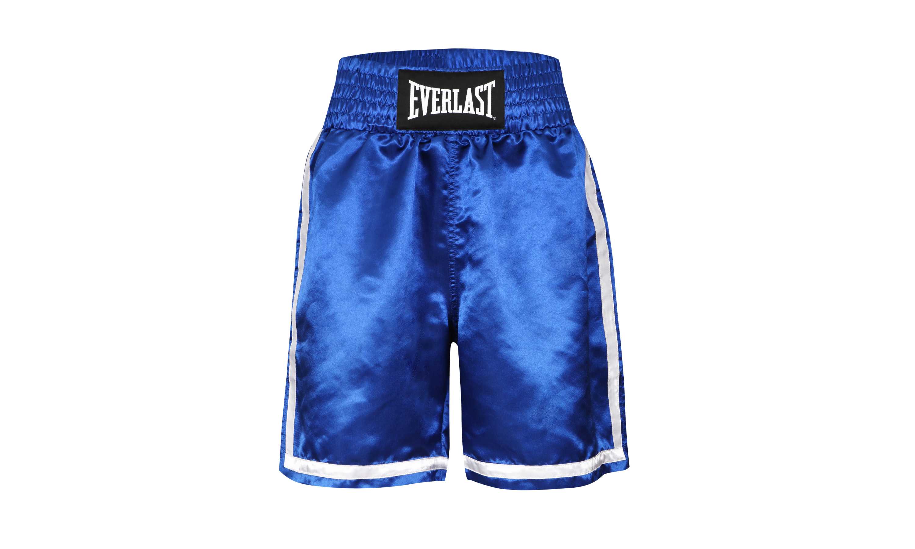 EVERLAST MASTERMIND WORLD BOXING SHORTS