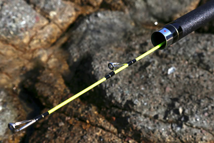 カリプソファイン500