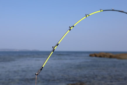 カリプソファイン500