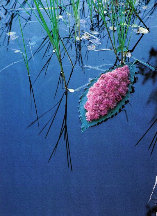 Spectacular Works of Land Art Celebrate the Beauty of Nature