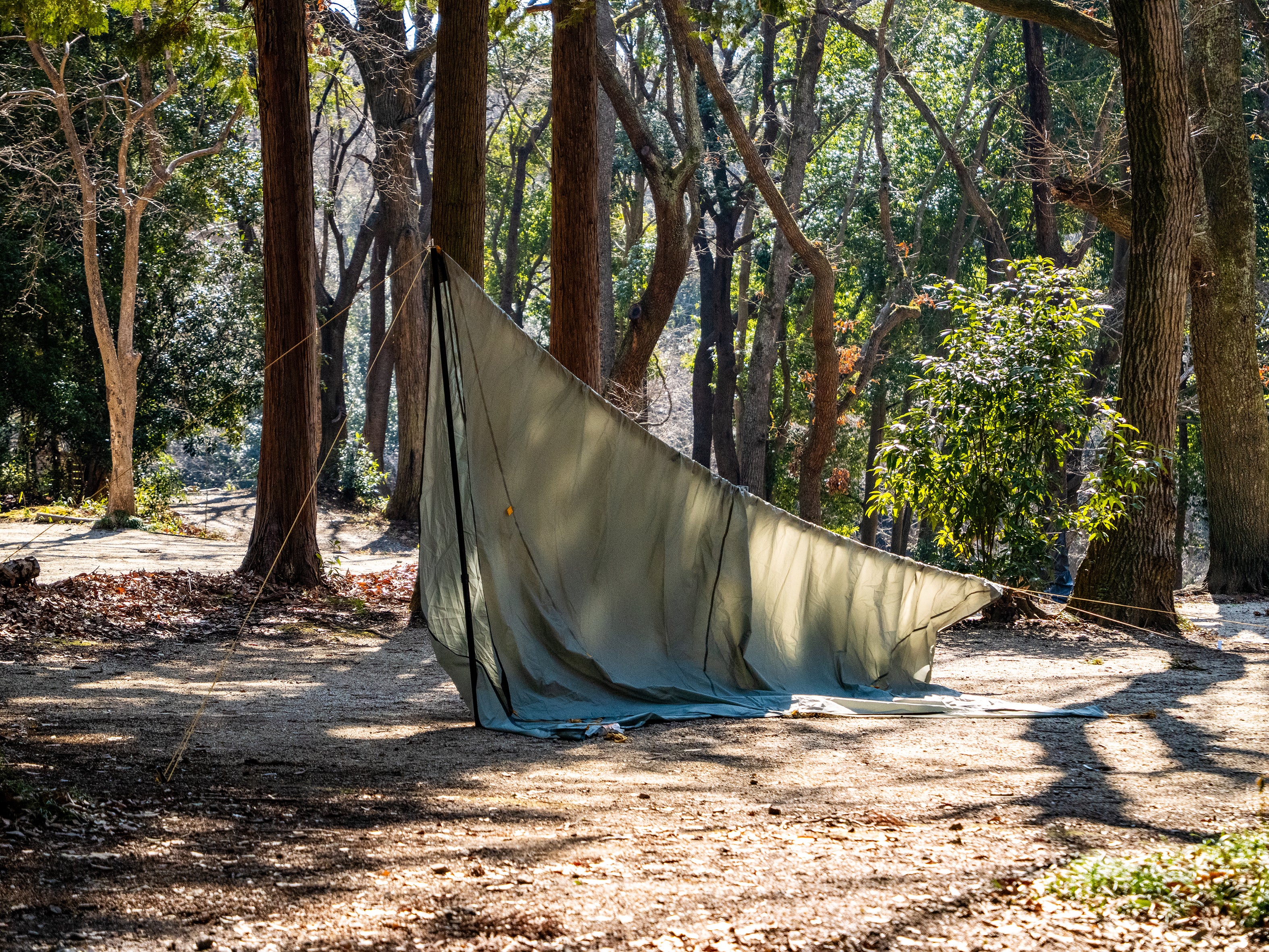 Shadowcaster™ Evo 165 Combo Set – NEMO Equipment Japan