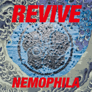 NEMOPHILA 1st Album「REVIVE」リリース!! | NEMOPHILA Official Website