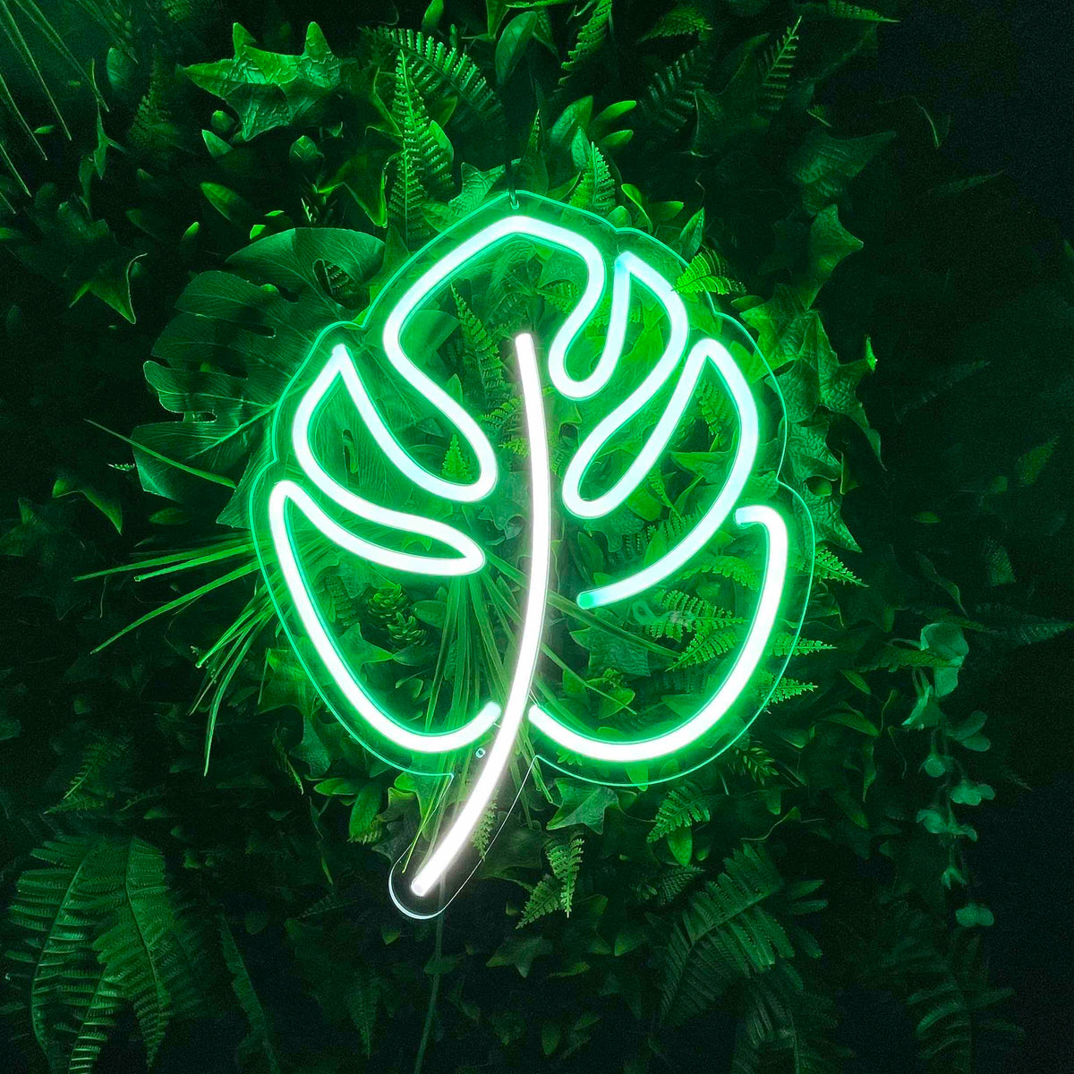 Tropical Monstera Leaf Neon Sign | Neon Lights For Home — Neon Filter