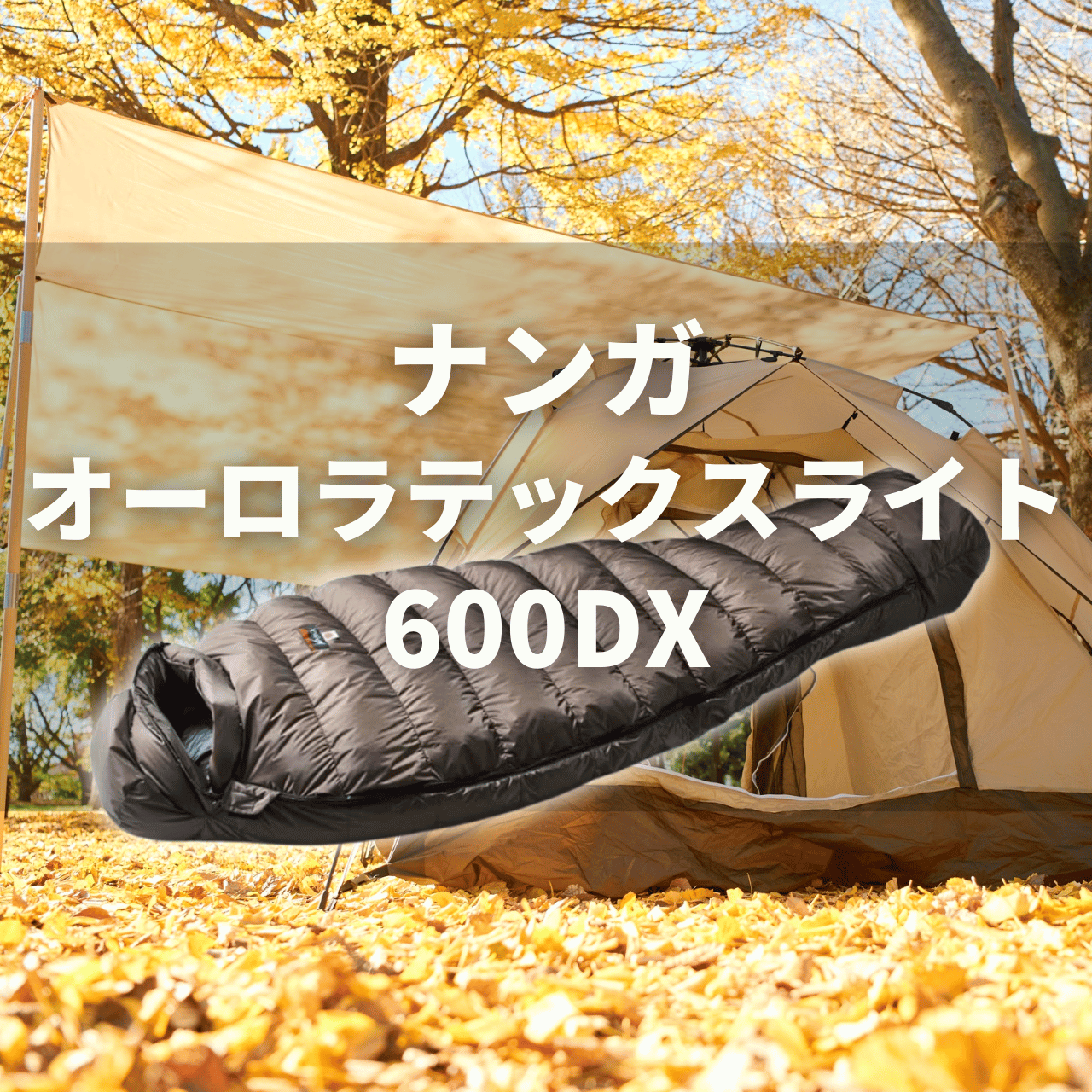 別注あり】オーロラテックス ライト600DXの実力は？特徴・注意点・別注