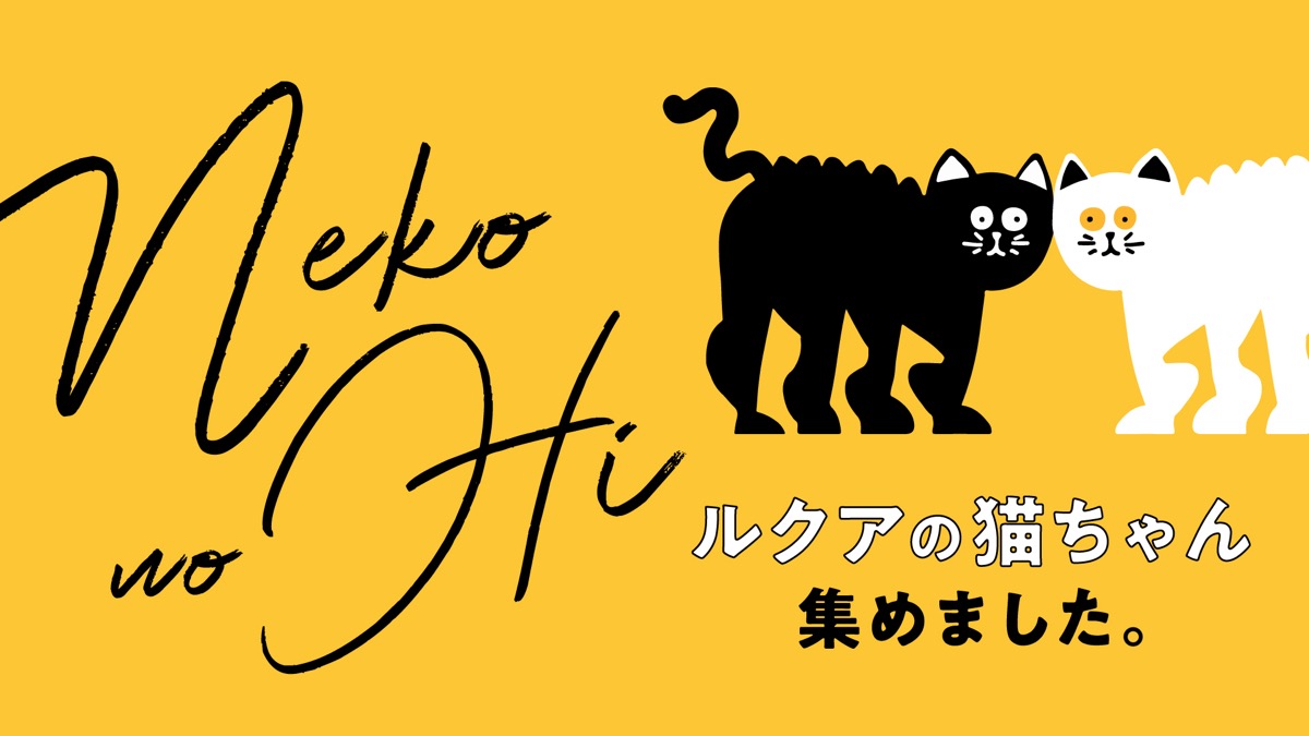 2025】「猫の日」を祝う特別イベント・ルクア大阪が開催！トムと