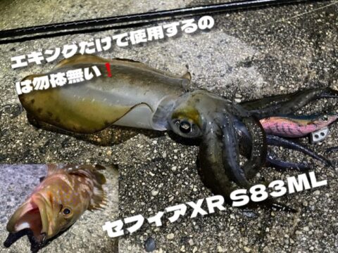 インプレ】シマノ 21セフィアXR S83ML エギングのみで使用するのは勿体