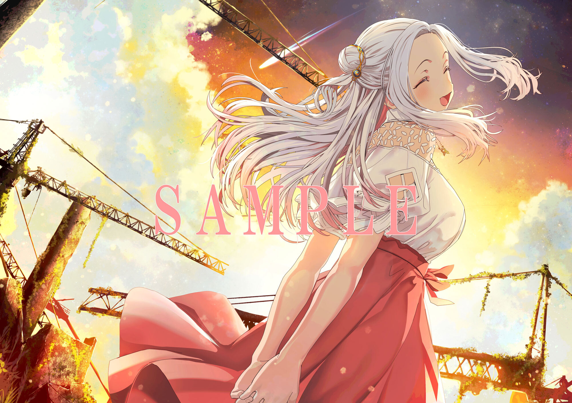 小説『白昼夢の青写真』レビュー・評価・感想：「ハレー彗星」の撮影を