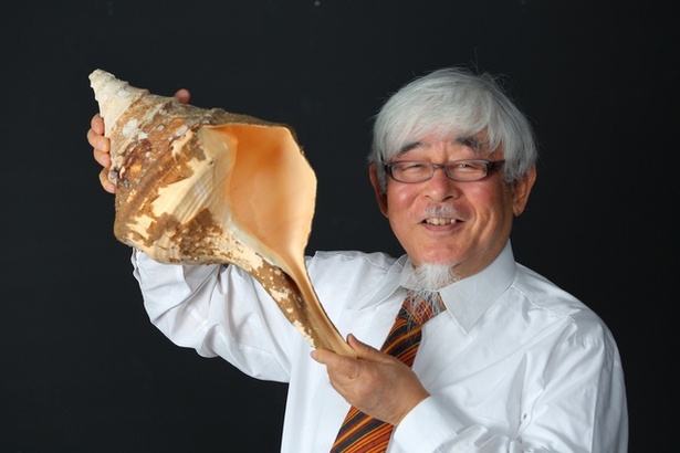 三重県総合博物館で「知ってる貝！見てみる貝！貝のヒミツ」が開催中