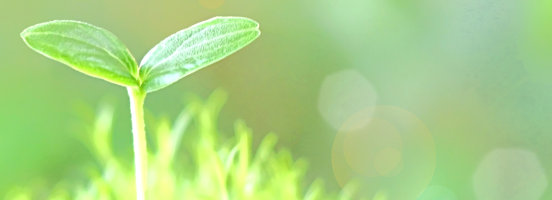 粟木原式不妊整体とは | 富士宮市の妊活・不妊整体なら【妊娠率78.6