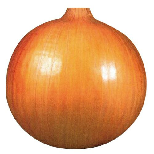 玉ねぎ苗 | 農業屋.com