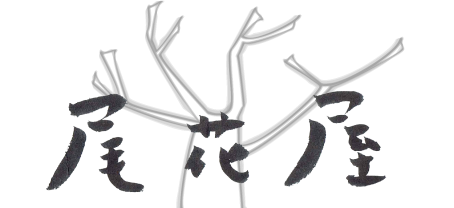 スピノザ 予感』小池桂一 中古買取価格 4,500円 - 古本買取の尾花屋