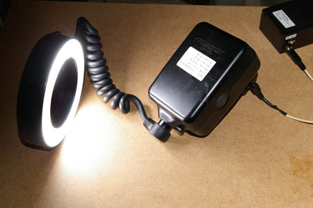 キャノン マクロ リングライト ML-3 の 活用 01