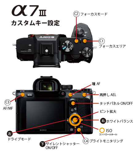 α7IIIレビュー】恐るべし！ベーシック機の進化！α7III（ILCE-7M3）の
