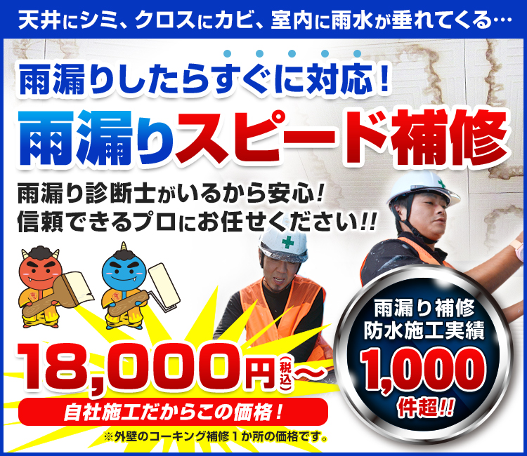 雨漏りスピード補修 | 宮城県仙台市で外壁塗装・屋根塗装なら実績No.1