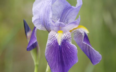 リビルディング｜ローランド｜OWAY｜オーガニックウェイ｜ENGARO