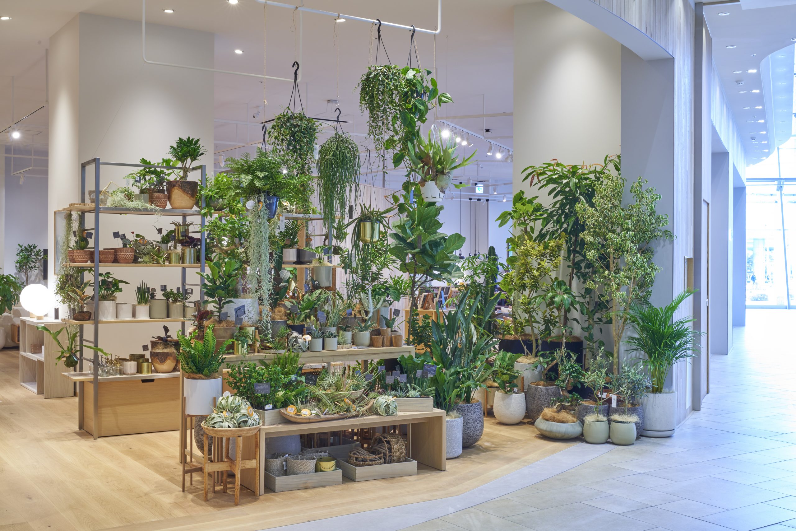 アクタス・さいたま新都心店|【公式】ACTUS online (アクタス