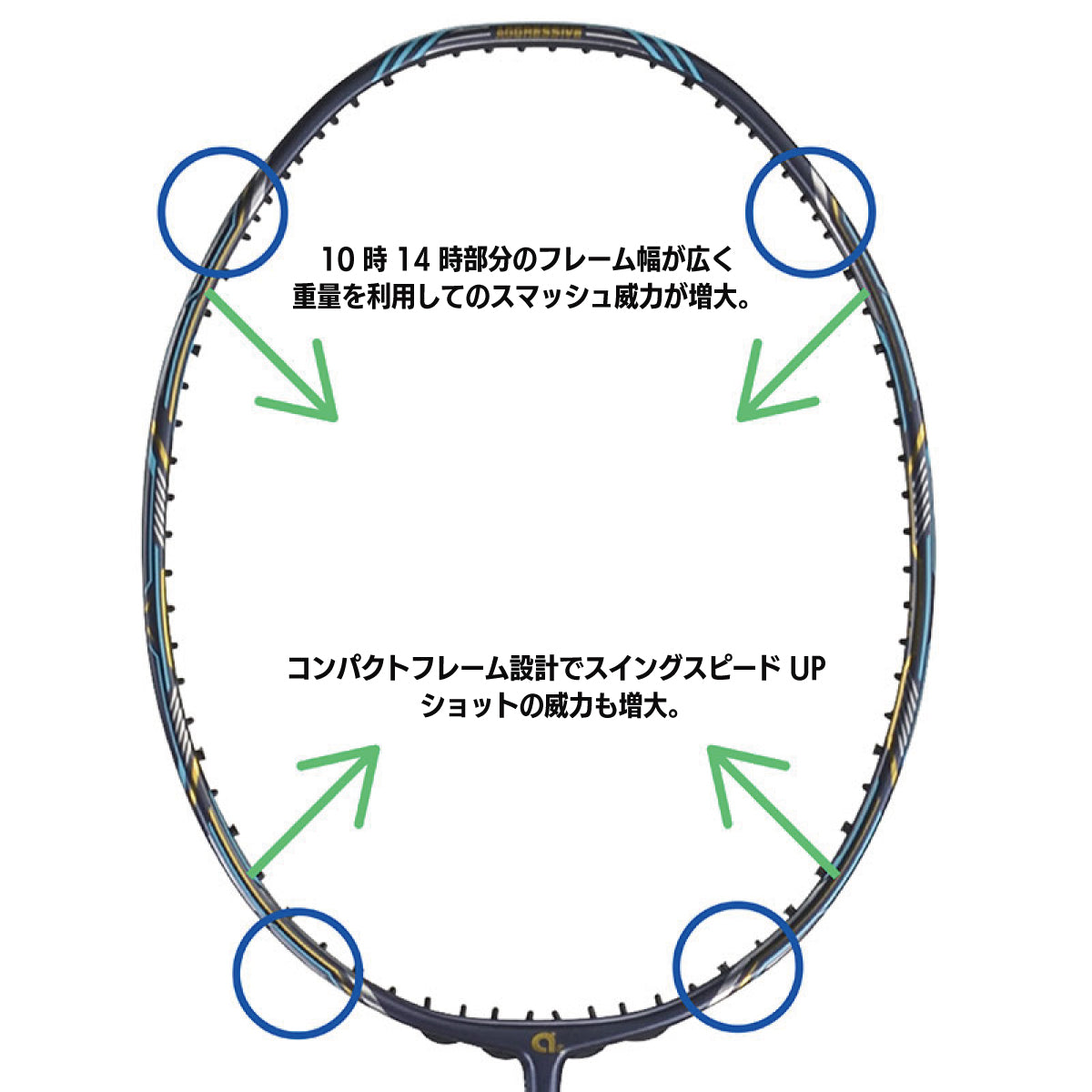 APACS(アパックス) THUNDERDOME 6.2 サンダードーム6.2 バドミントン