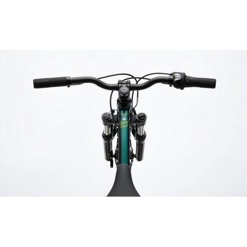 CANNONDALE ( キャノンデール ) キッズバイク KIDS TRAIL 20 ( キッズ